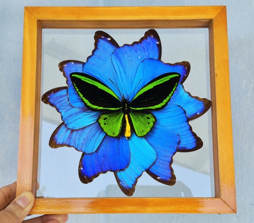 Real framed butterfly - real, green